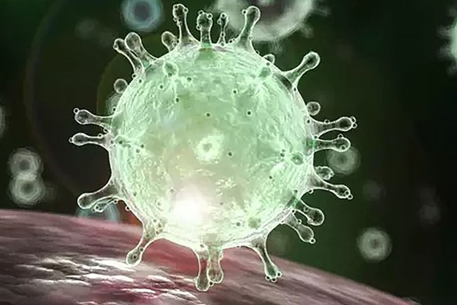 coronavirus